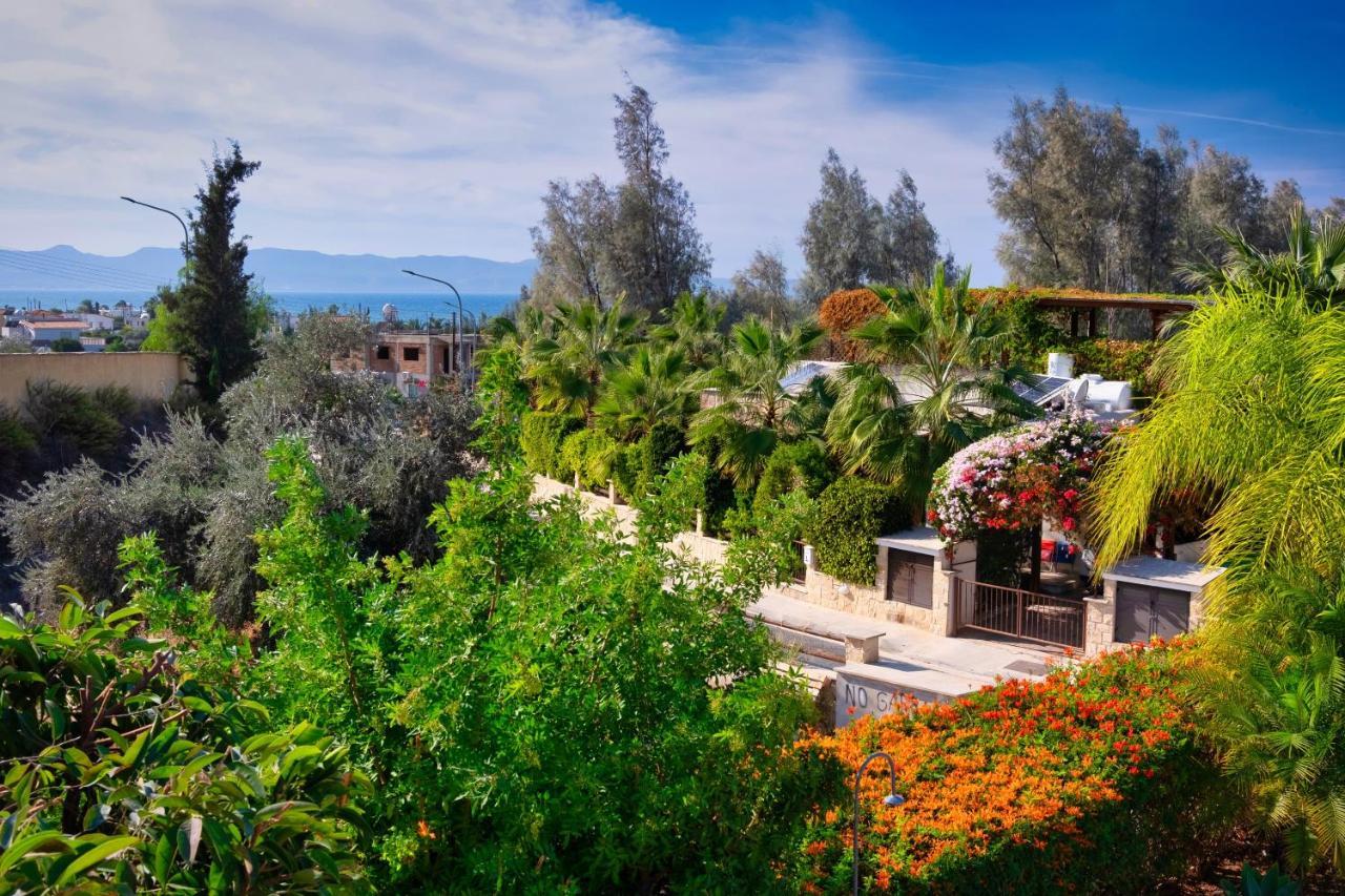 Villa Elena In 阿尔加卡 外观 照片